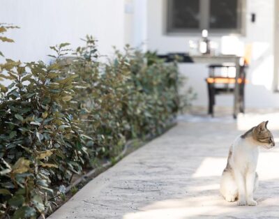 White Pearl – Private Swimming Pool – 3 Bedrooms Naxos Town